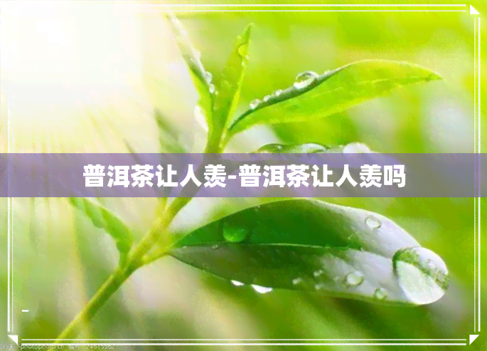 普洱茶让人羡-普洱茶让人羡吗