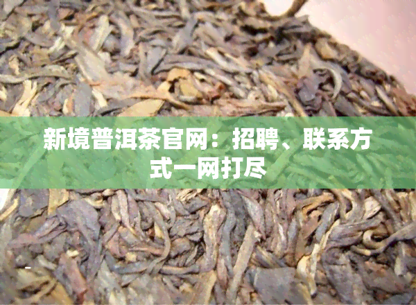 新境普洱茶官网：招聘、联系方式一网打尽