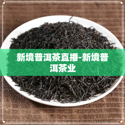 新境普洱茶直播-新境普洱茶业