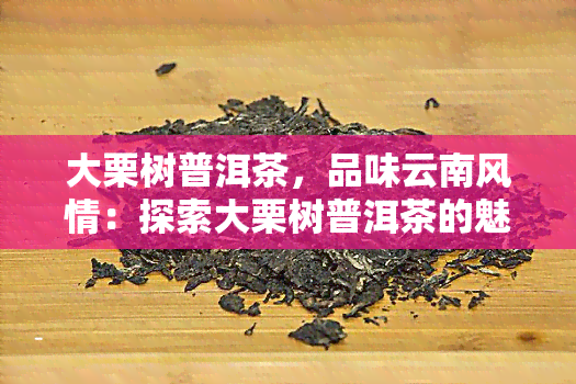 大栗树普洱茶，品味云南风情：探索大栗树普洱茶的魅力