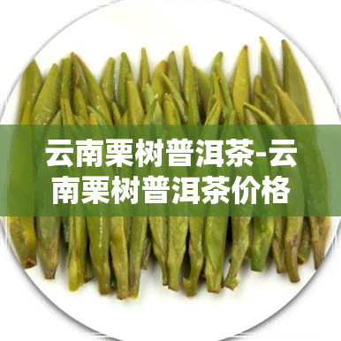 云南栗树普洱茶-云南栗树普洱茶价格表