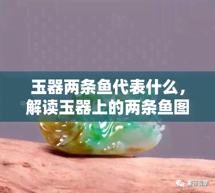 玉器两条代表什么，解读玉器上的两条图案含义