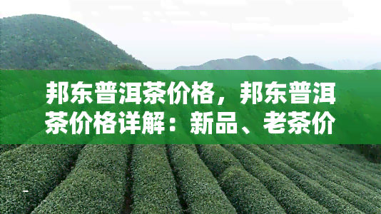 邦东普洱茶价格，邦东普洱茶价格详解：新品、老茶价格对比与购买建议