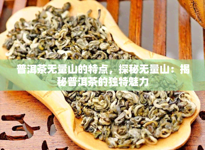 普洱茶无量山的特点，探秘无量山：揭秘普洱茶的独特魅力