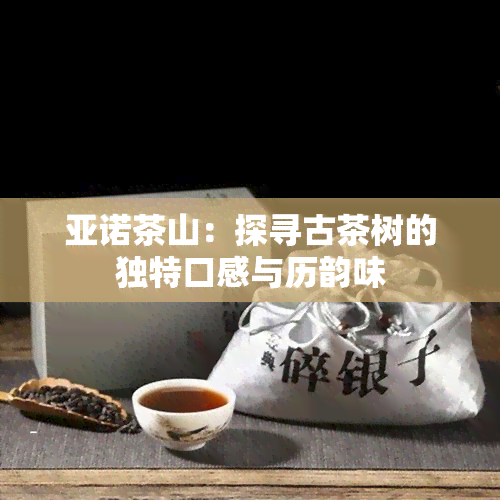 亚诺茶山：探寻古茶树的独特口感与历韵味