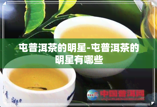 屯普洱茶的明星-屯普洱茶的明星有哪些