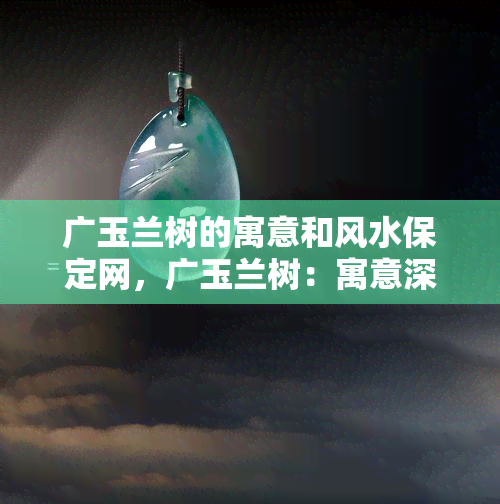 广玉兰树的寓意和风水保定网，广玉兰树：寓意深刻，风水吉祥，全在保定网