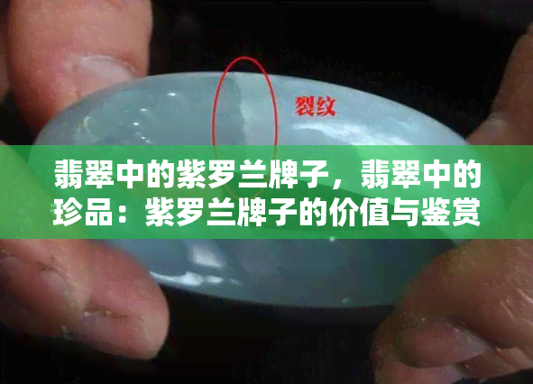 翡翠中的紫罗兰牌子，翡翠中的珍品：紫罗兰牌子的价值与鉴赏