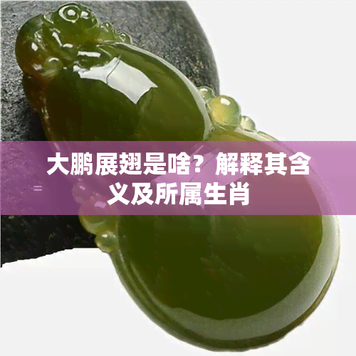 大鹏展翅是啥？解释其含义及所属生肖