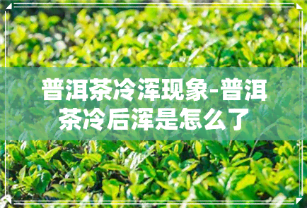 普洱茶冷浑现象-普洱茶冷后浑是怎么了