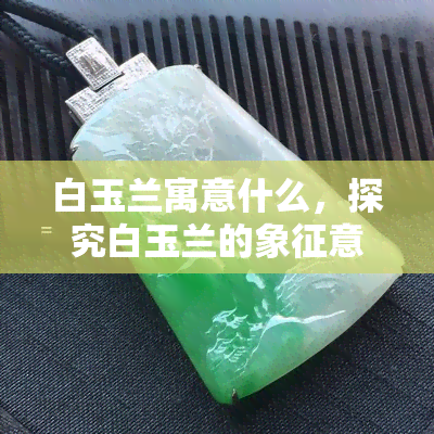 白玉兰寓意什么，探究白玉兰的象征意义