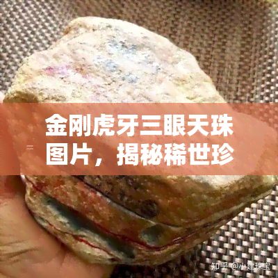 金刚虎牙三眼天珠图片，揭秘稀世珍宝：金刚虎牙三眼天珠的神秘图案与文化内涵