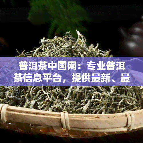 普洱茶中国网：专业普洱茶信息平台，提供最新、最全的普洱茶新闻、价格、评测等服务。