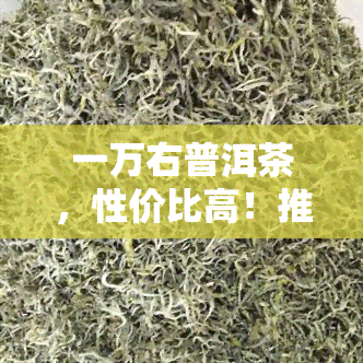 一万右普洱茶，性价比高！推荐一万右的优质普洱茶