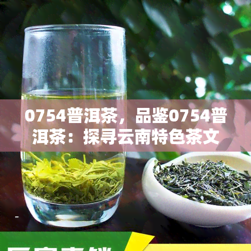 0754普洱茶，品鉴0754普洱茶：探寻云南特色茶文化的韵味