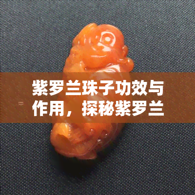 紫罗兰珠子功效与作用，探秘紫罗兰珠子的神奇功效与作用