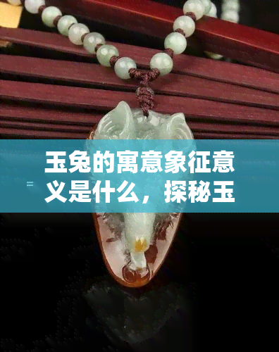 玉兔的寓意象征意义是什么，探秘玉兔：其寓意和象征意义解析