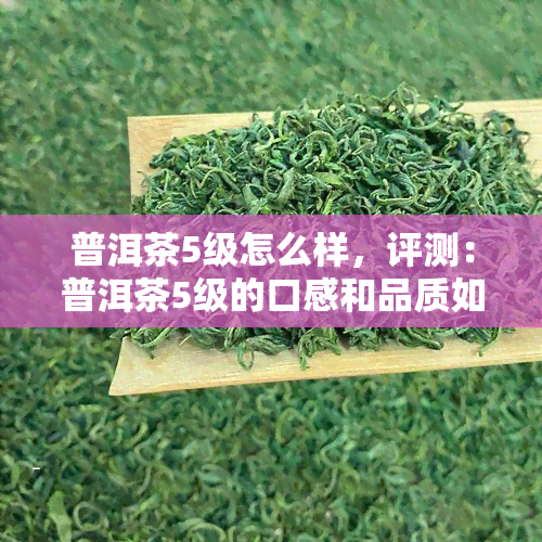 普洱茶5级怎么样，评测：普洱茶5级的口感和品质如何？