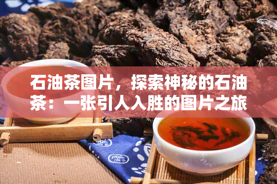 石油茶图片，探索神秘的石油茶：一张引人入胜的图片之旅