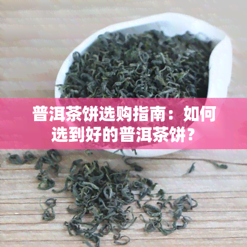 普洱茶饼选购指南：如何选到好的普洱茶饼？