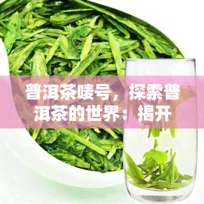 普洱茶唛号，探索普洱茶的世界：揭开唛号背后的秘密