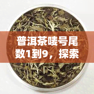 普洱茶唛号尾数1到9，探索普洱茶的奥秘：唛号尾数1到9的秘密