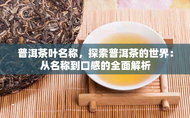 普洱茶叶名称，探索普洱茶的世界：从名称到口感的全面解析