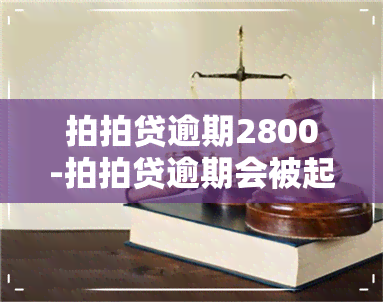 拍拍贷逾期2800-拍拍贷逾期会被起诉吗?真还不上怎么办