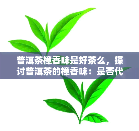 普洱茶樟香味是好茶么，探讨普洱茶的樟香味：是否代表好的品质？