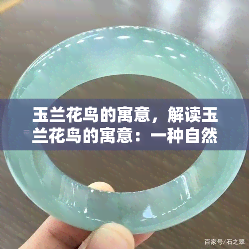 玉兰花鸟的寓意，解读玉兰花鸟的寓意：一种自然与文化的交融