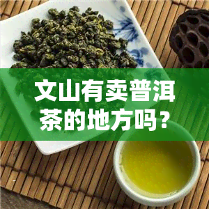 文山有卖普洱茶的地方吗？位置及价格全知道！