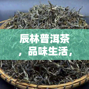 辰林普洱茶，品味生活，享受健：辰林普洱茶的魅力探索