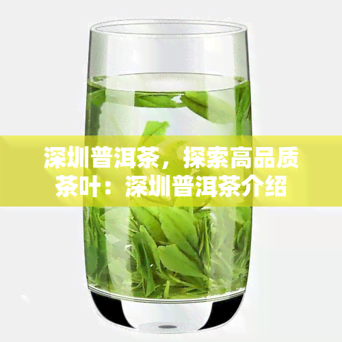 深圳普洱茶，探索高品质茶叶：深圳普洱茶介绍