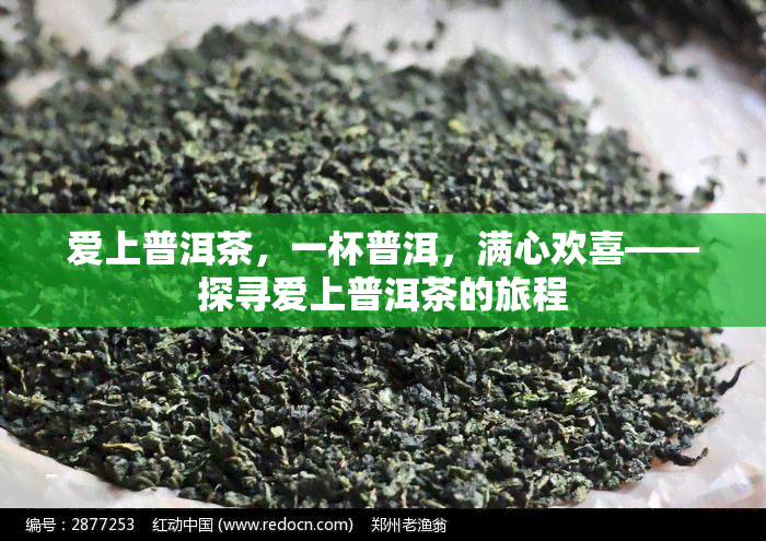 爱上普洱茶，一杯普洱，满心欢喜——探寻爱上普洱茶的旅程