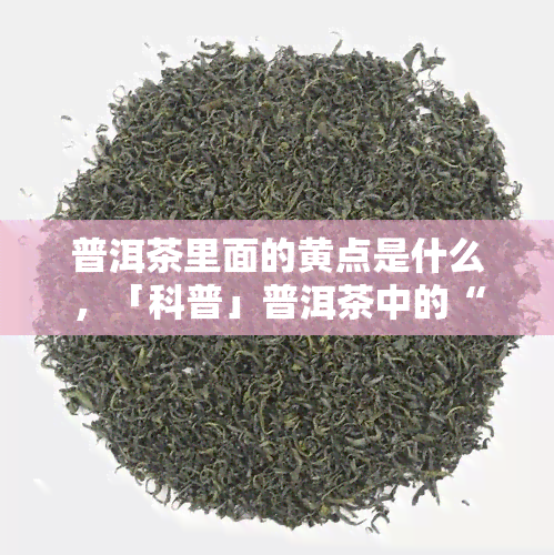 普洱茶里面的黄点是什么，「科普」普洱茶中的“小黄点”是什么？原来它这么重要！