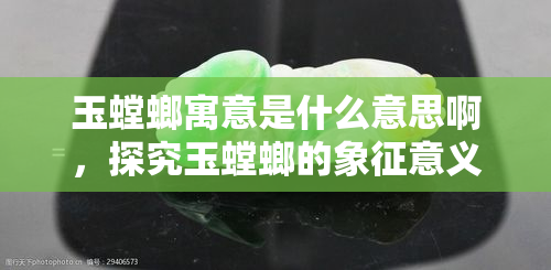 玉螳螂寓意是什么意思啊，探究玉螳螂的象征意义：一种神秘的东方文化符号