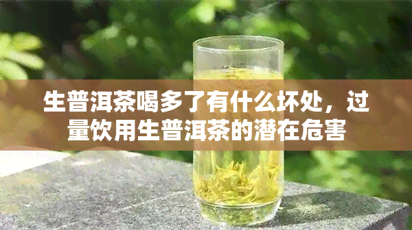 生普洱茶喝多了有什么坏处，过量饮用生普洱茶的潜在危害