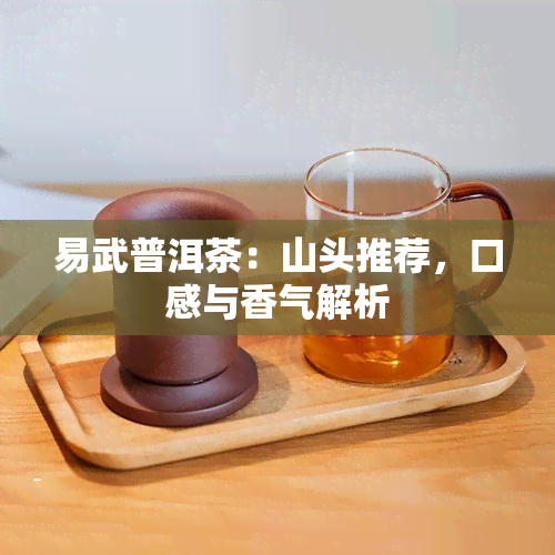 易武普洱茶：山头推荐，口感与香气解析