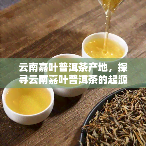 云南嘉叶普洱茶产地，探寻云南嘉叶普洱茶的起源地