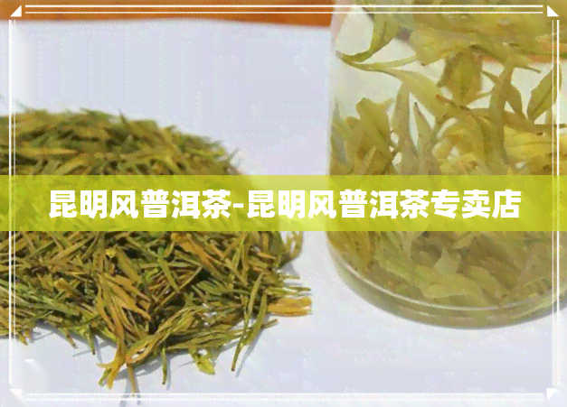 昆明风普洱茶-昆明风普洱茶专卖店