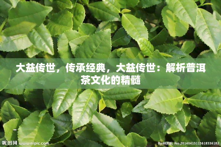 大益传世，传承经典，大益传世：解析普洱茶文化的精髓