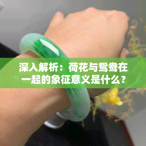 深入解析：荷花与鸳鸯在一起的象征意义是什么？