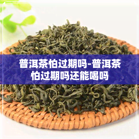 普洱茶怕过期吗-普洱茶怕过期吗还能喝吗