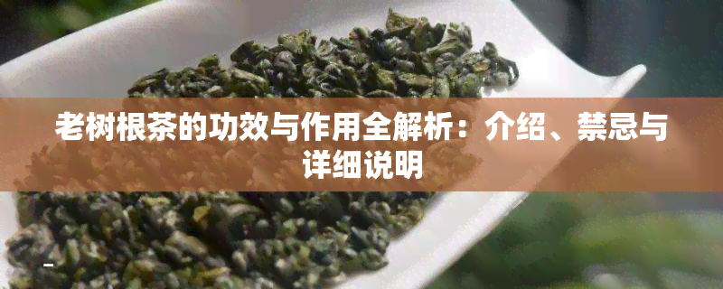 老树根茶的功效与作用全解析：介绍、禁忌与详细说明