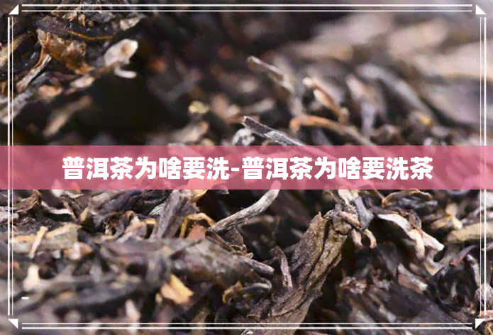 普洱茶为啥要洗-普洱茶为啥要洗茶