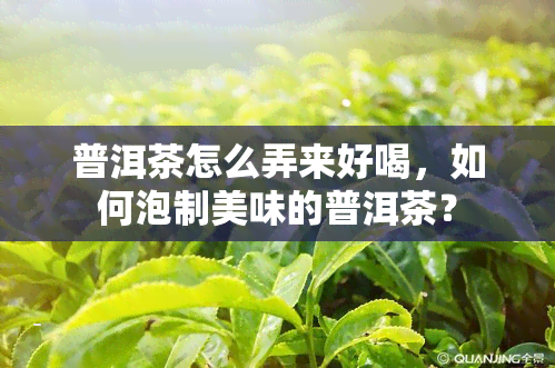 普洱茶怎么弄来好喝，如何泡制美味的普洱茶？