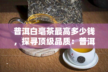 普洱白毫茶更高多少钱，探寻顶级品质：普洱白毫茶的市场价格探析