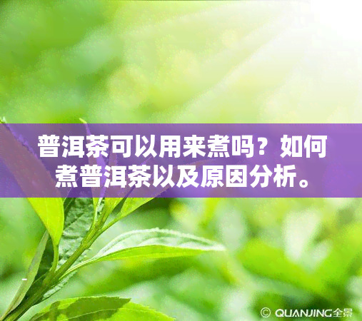 普洱茶可以用来煮吗？如何煮普洱茶以及原因分析。