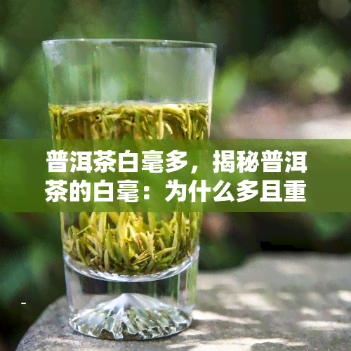 普洱茶白毫多，揭秘普洱茶的白毫：为什么多且重要？