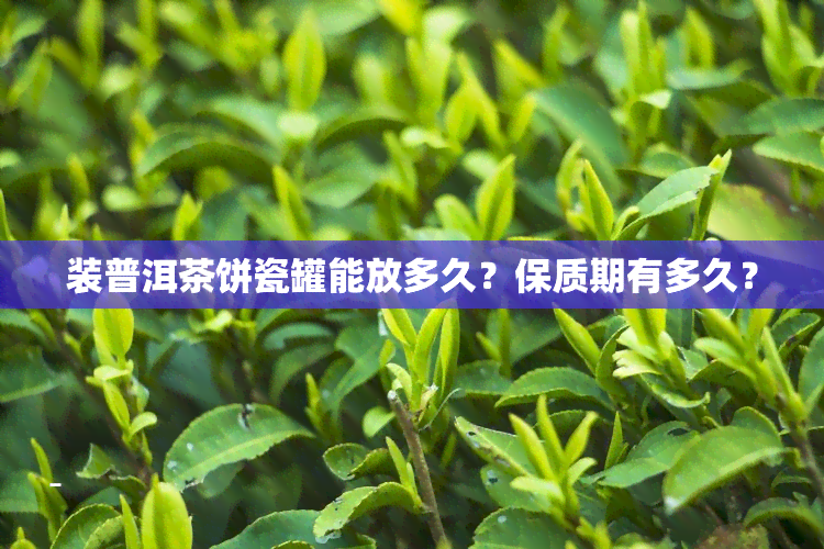 装普洱茶饼瓷罐能放多久？保质期有多久？